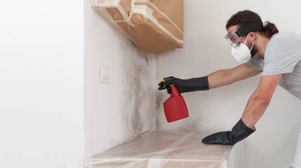 Professional Basement Mold Removal technician working in Hawthorne, NJ