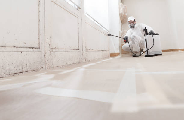 24/7 Emergency Basement Mold Removal experts in Hawthorne, NJ